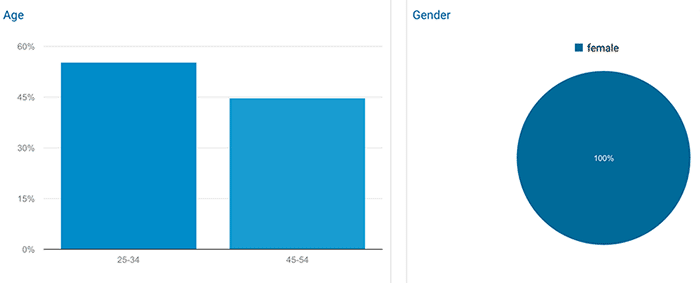 Small business SEO - demographics