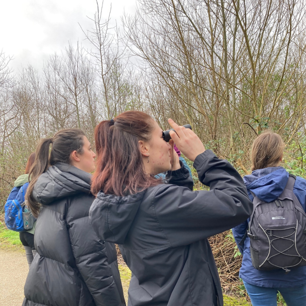 Two people bird watching