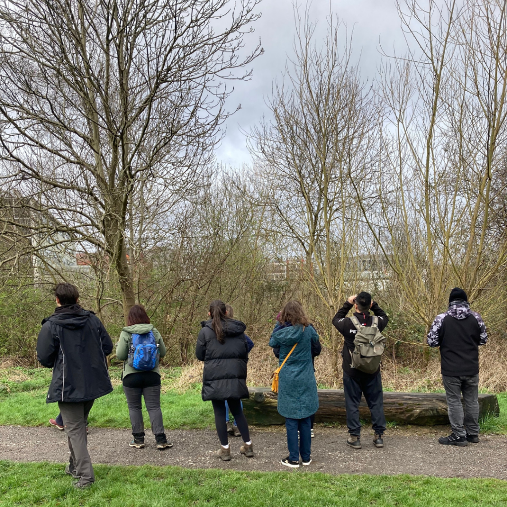 Group of people bird watching