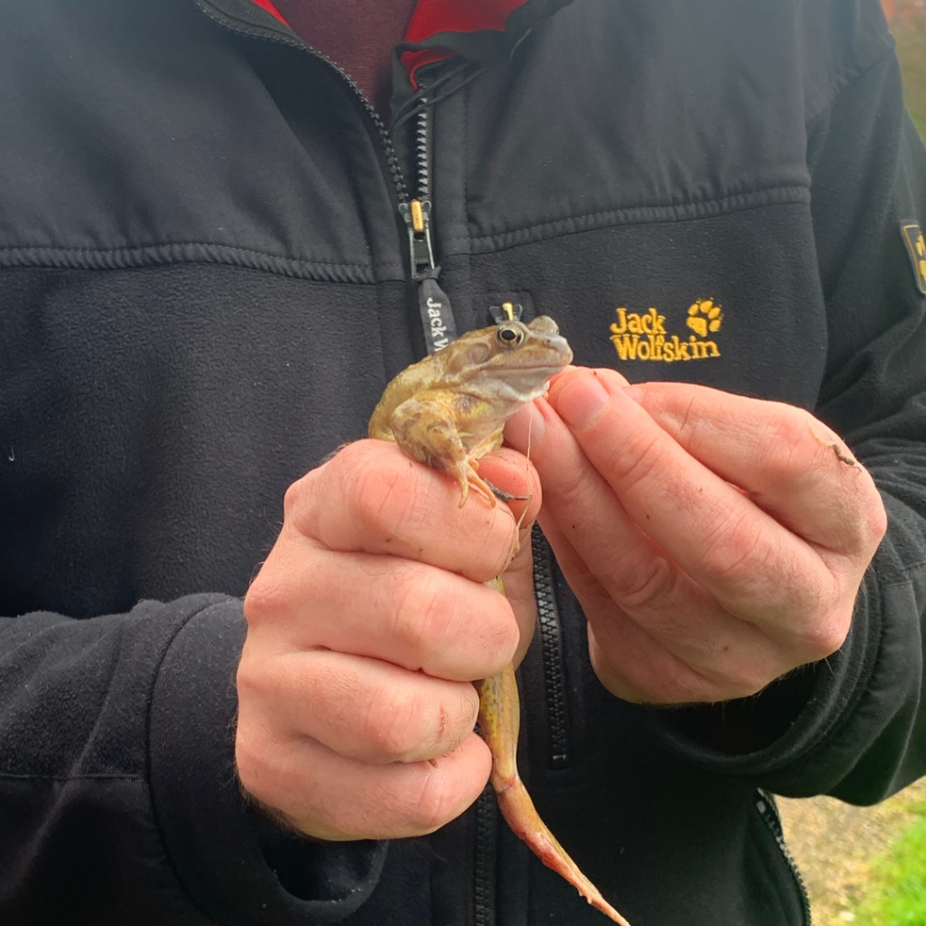 Man holding a frog