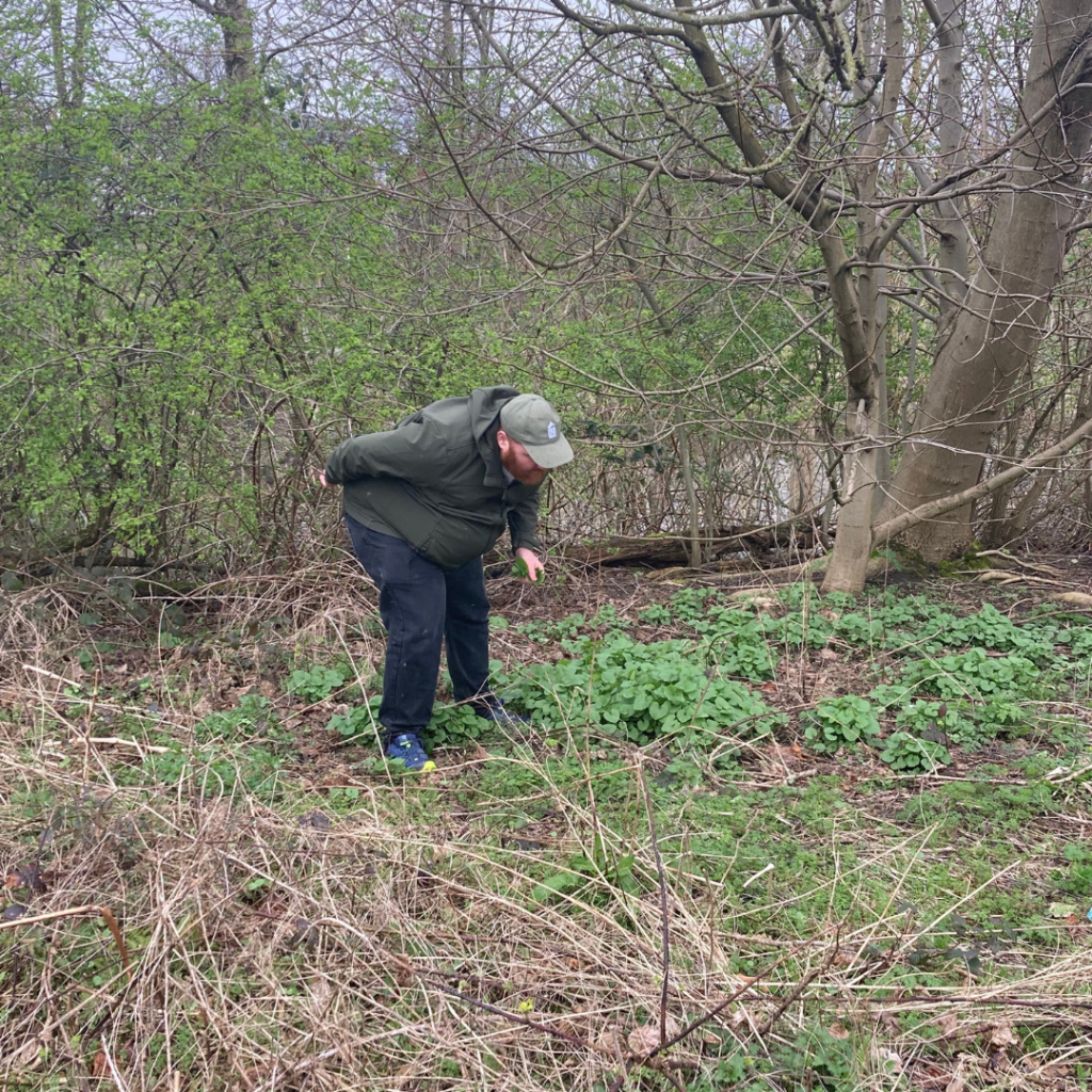 Man foraging in The Meadows