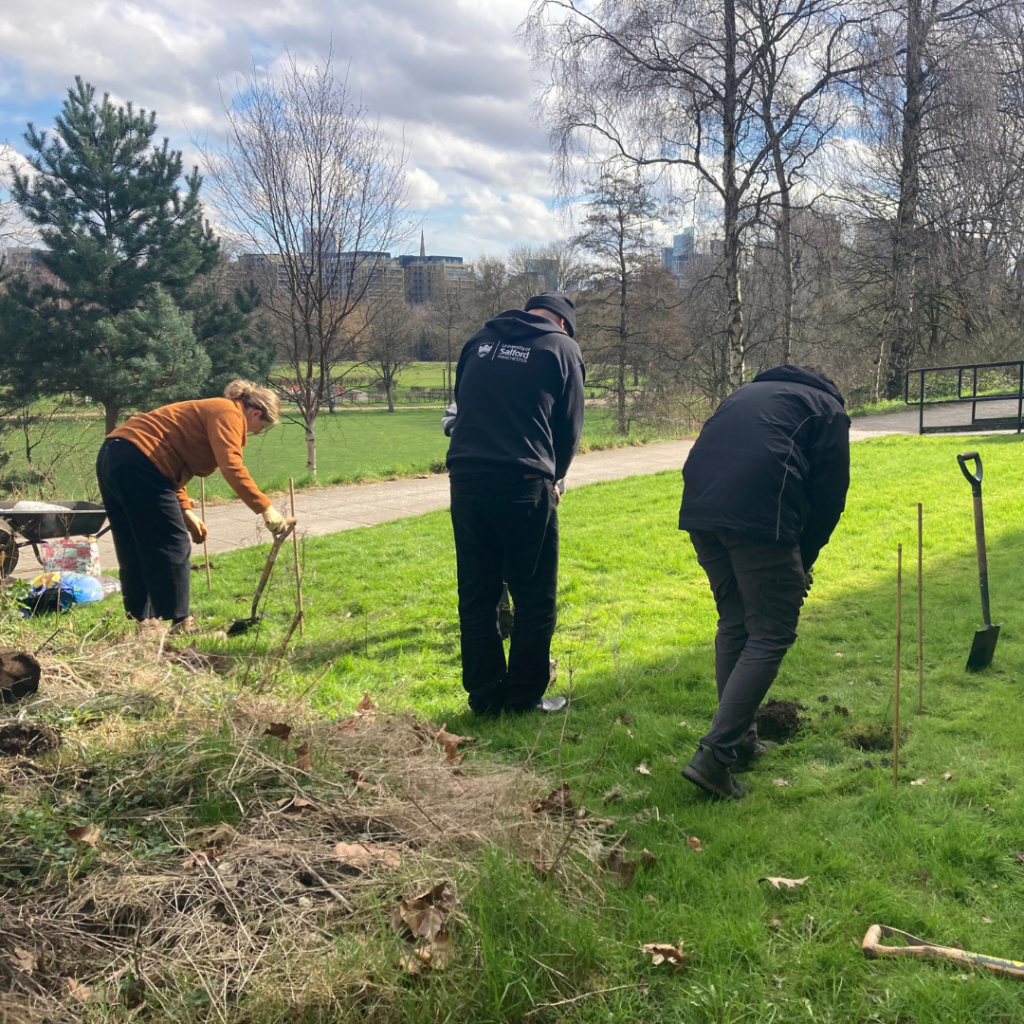 Volunteers planting a new hedgerow