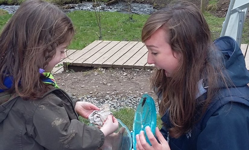 Lori working with wildlife