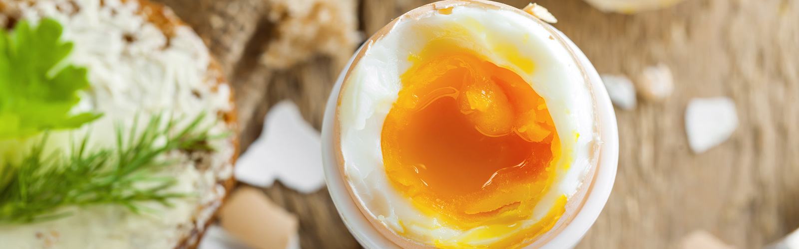 Image: soft-boiled egg