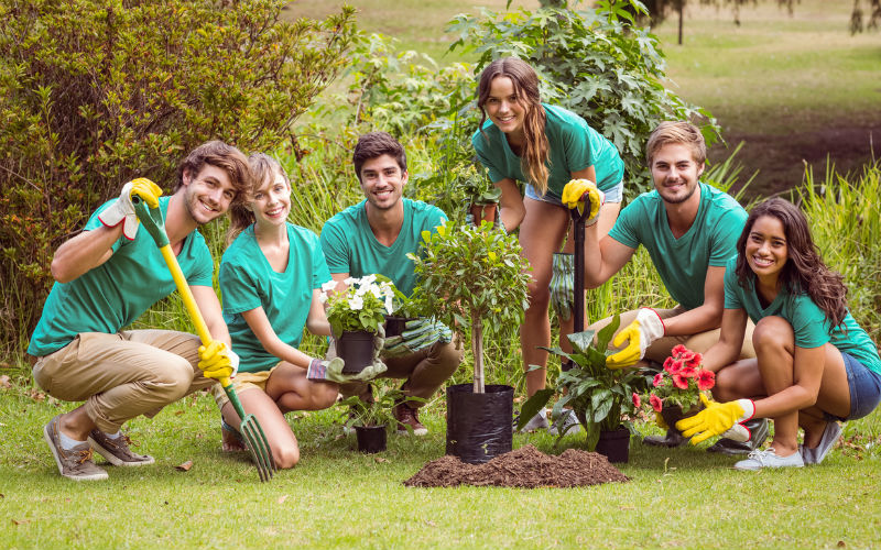 Image: Students volunteering