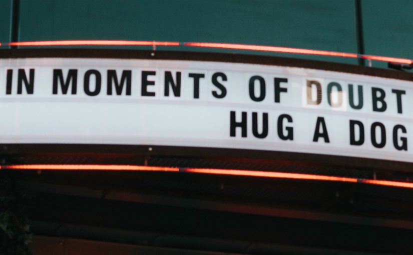 Old fashioned theatre sign reading: In moments of doubt, trust your gut, hug a dog and drink gin