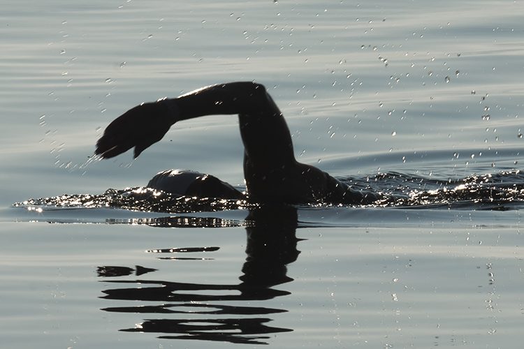 Image: Swimmer swimming outside