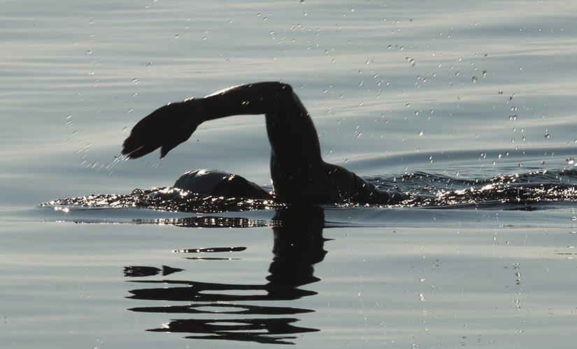 Image: Swimmer swimming outside