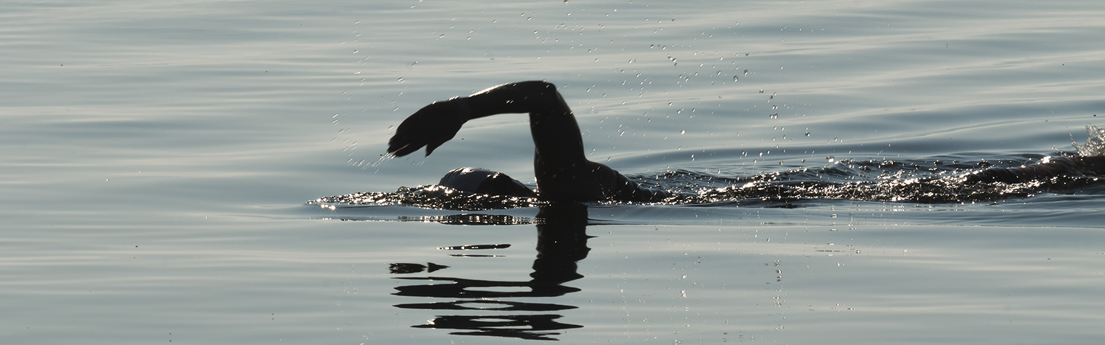 Image: Swimmer swimming outside