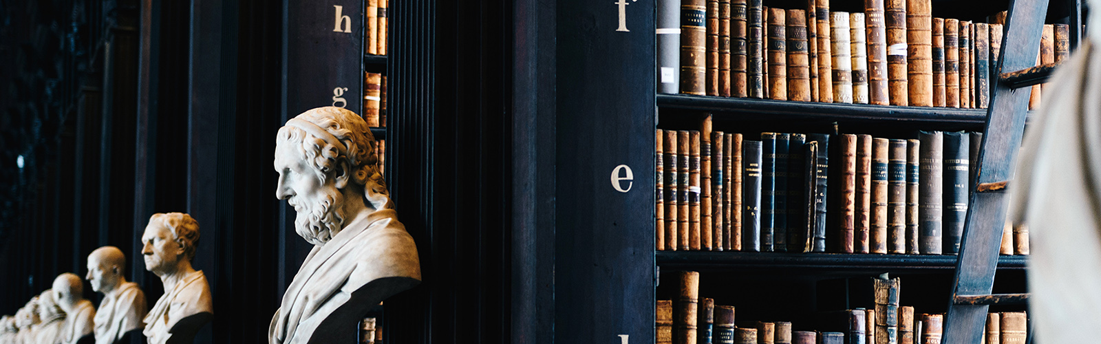 A dark black wood bookcase with tons of books and a ladder, in the distance you can see marble busts of different male figures