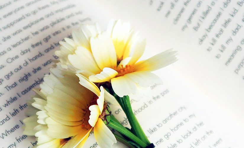 flowers laid on top of an open book