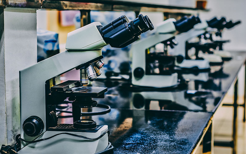 Lined up in a row on black work desks are digital microscopes.