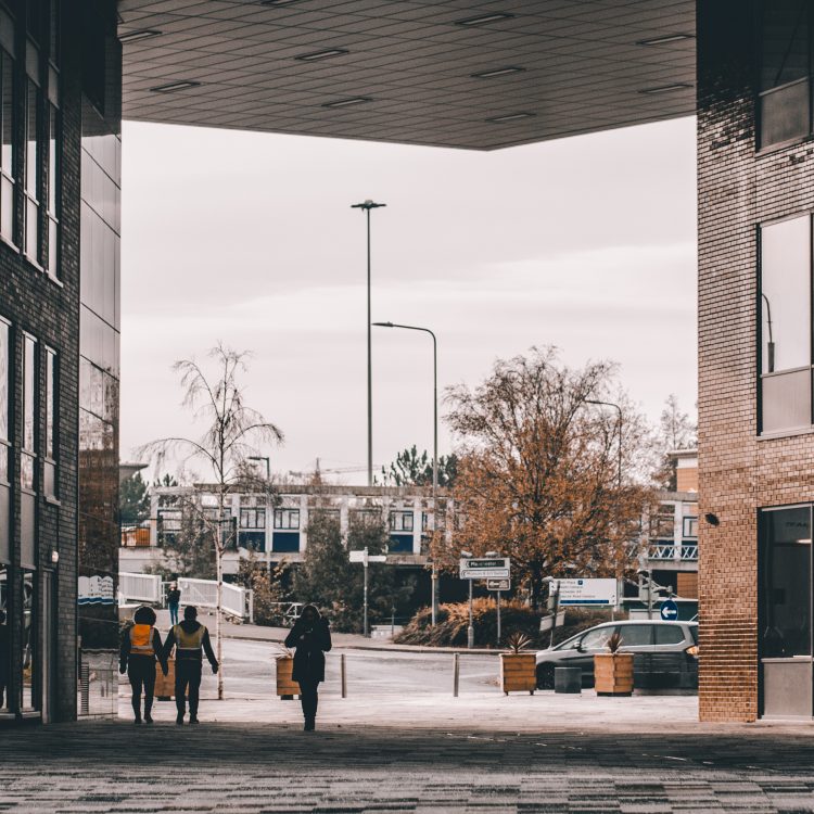 Photo of people walking into the main campus along the new Adelphi building