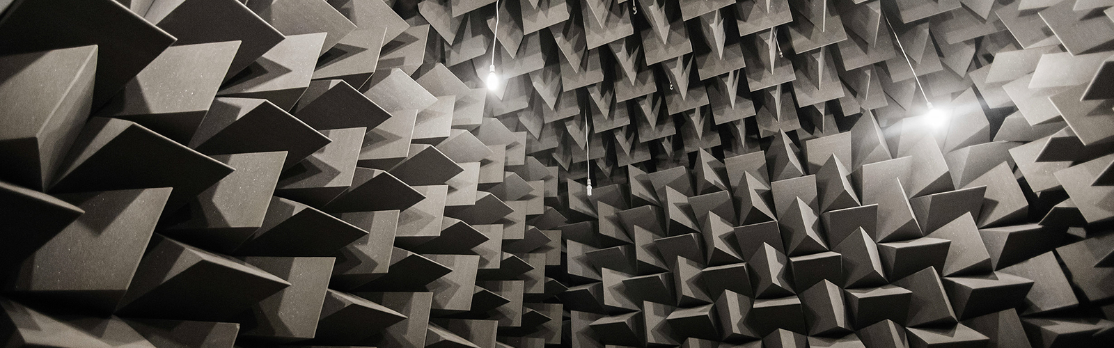 Photo of the Anechoic chamber