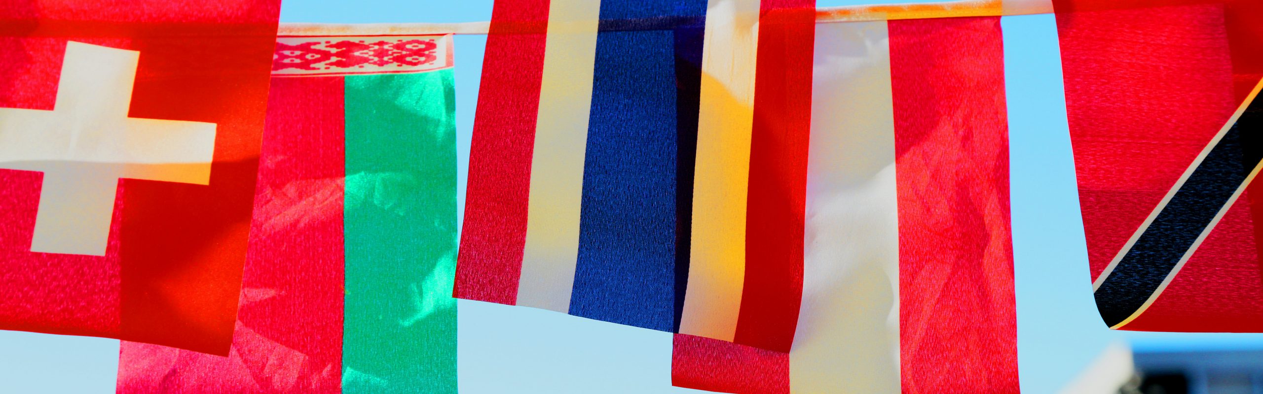 Photo of different nation flags