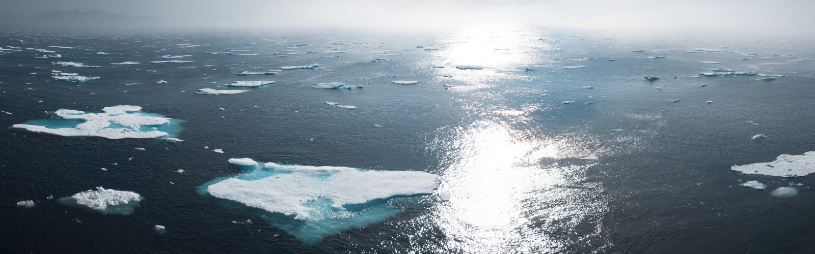 Image of melting icebergs