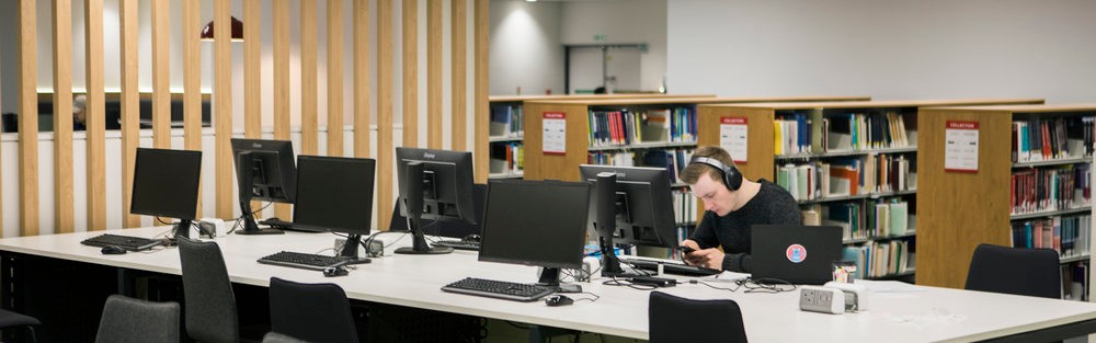 Person studying in the library, sitting at a computer