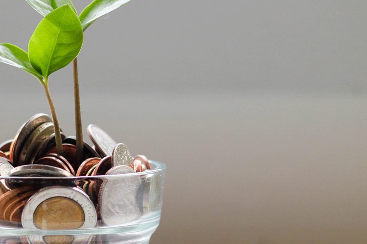 Photo of green plant with coins inside a transparent cup