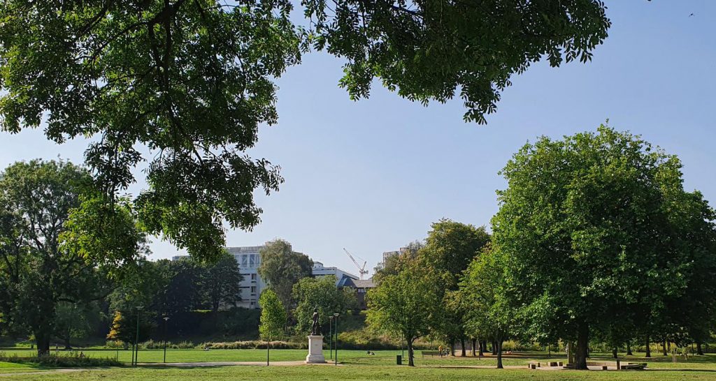 Green trees in Peel Park