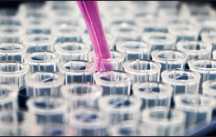 Photo of test tubes arranged in parallel