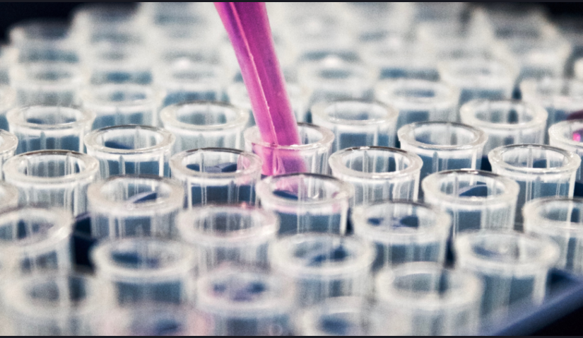 Photo of test tubes arranged in parallel