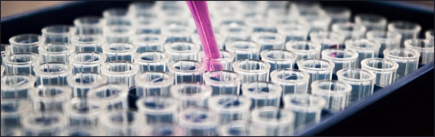 Photo of test tubes arranged in parallel