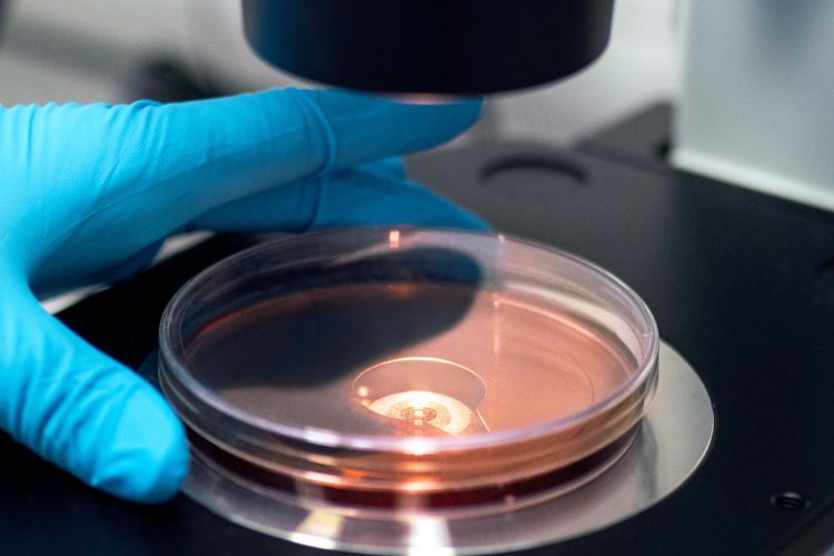 Photo of medical lab equipment with person's hand wearing blue gloves working