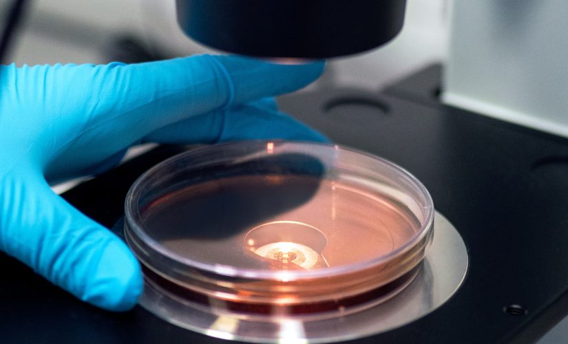 Photo of medical lab equipment with person's hand wearing blue gloves working