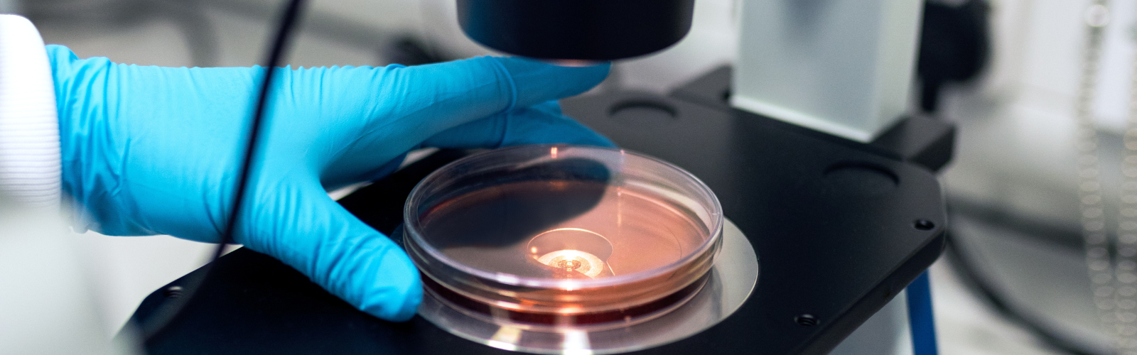 Photo of medical lab equipment with person's hand wearing blue gloves working