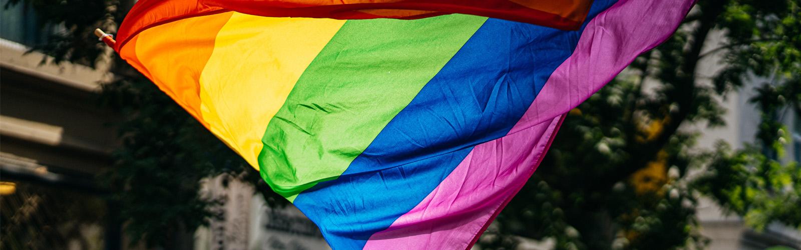 People holding the LGBTQ Flag