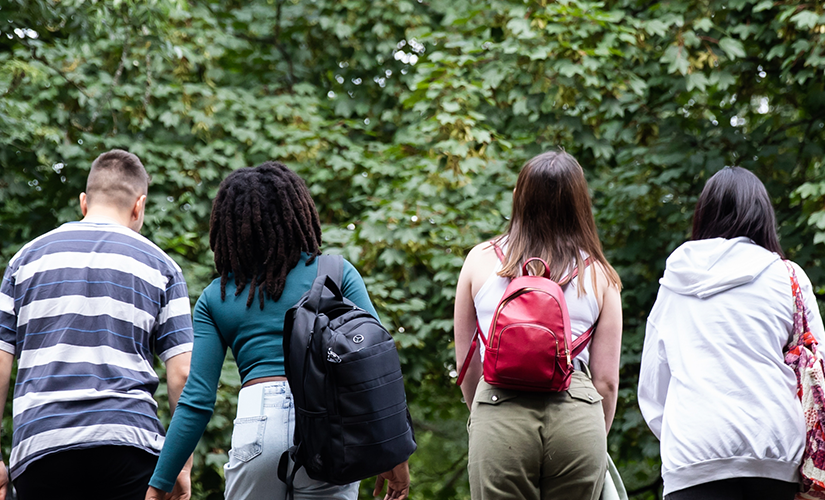 Photo of people walking together on the bridge with trees in the background.