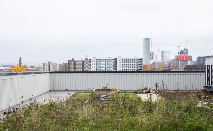 Green roof on the Lady Hale Building