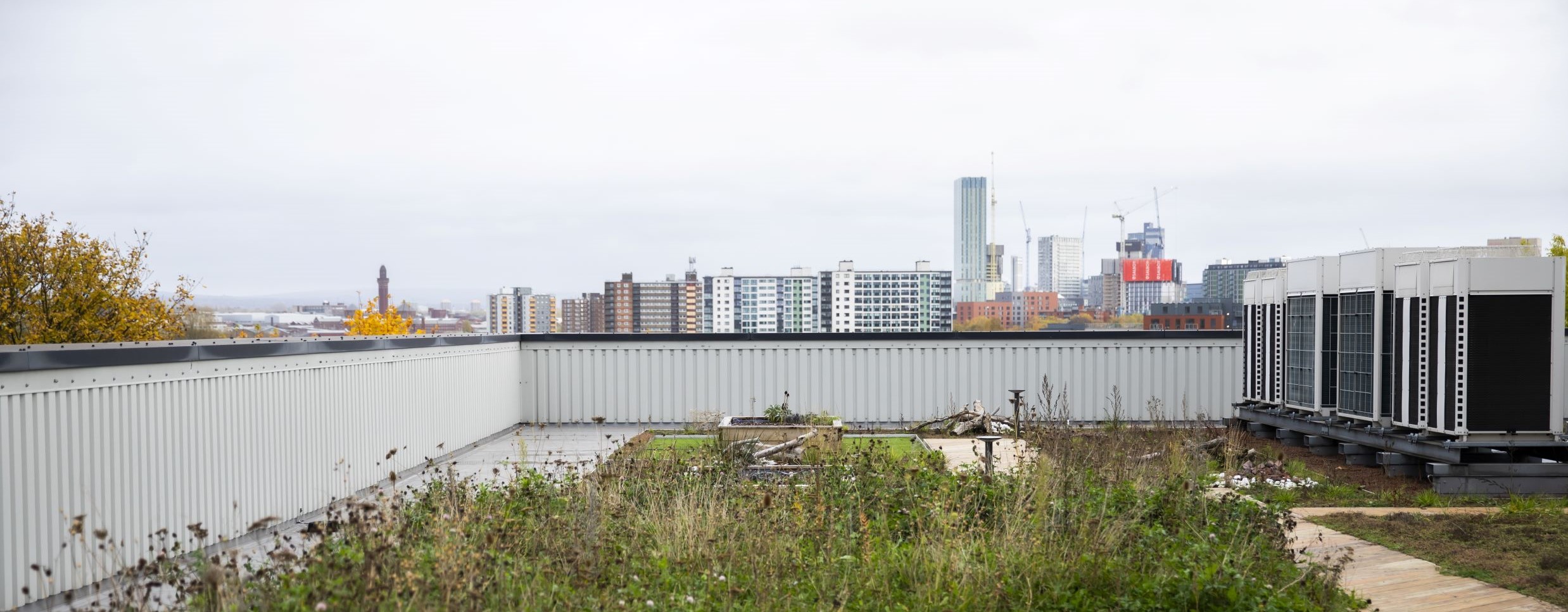 Green roof on the Lady Hale Building