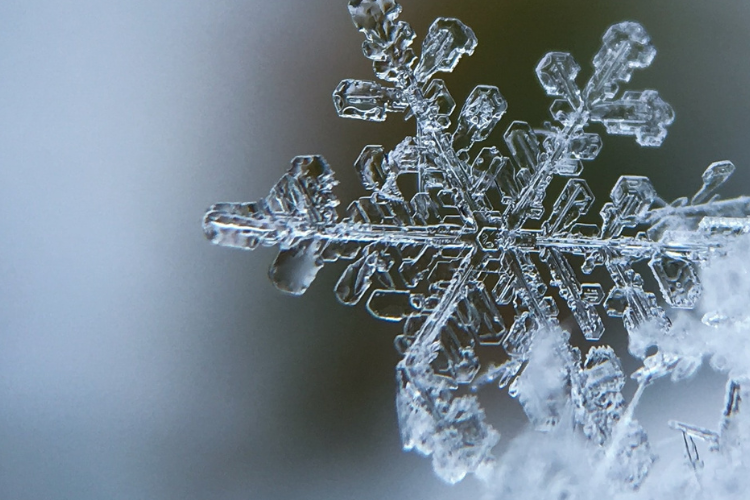 a zoomed in photo pf a snow flake