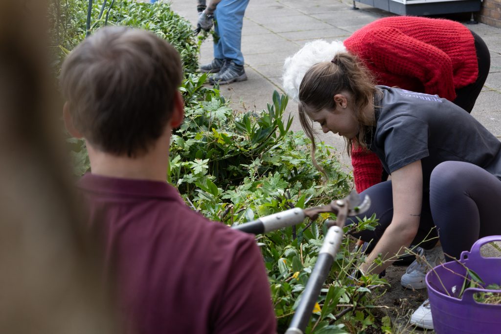 Rosie and colleagues cutting grass