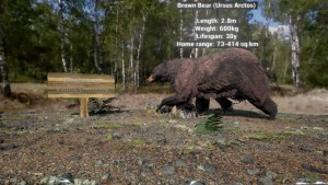 A Brown Bear in Virtual Chernobyl